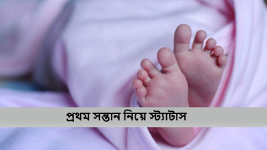 প্রথম সন্তান নিয়ে স্ট্যাটাস