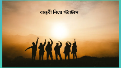 বান্ধবী নিয়ে স্ট্যাটাস