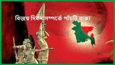 বিজয় দিবস সম্পর্কে পাঁচটি বাক্য