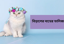 বিড়ালের নামের তালিকা
