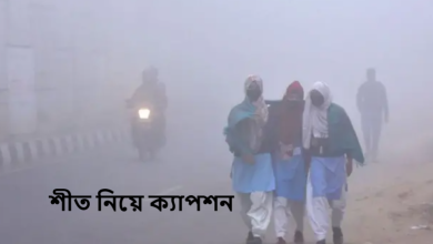 শীত নিয়ে ক্যাপশন
