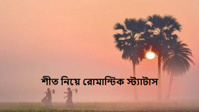 শীত নিয়ে রোমান্টিক স্ট্যাটাস