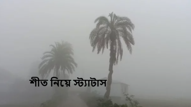 শীত নিয়ে স্ট্যাটাস