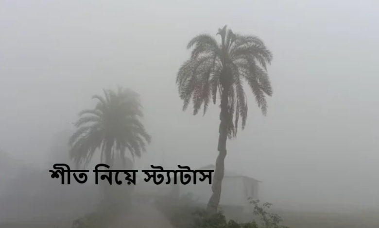 শীত নিয়ে স্ট্যাটাস