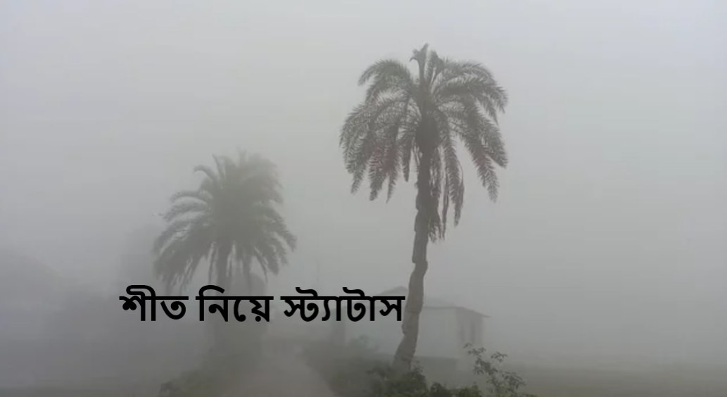 শীত নিয়ে স্ট্যাটাস
