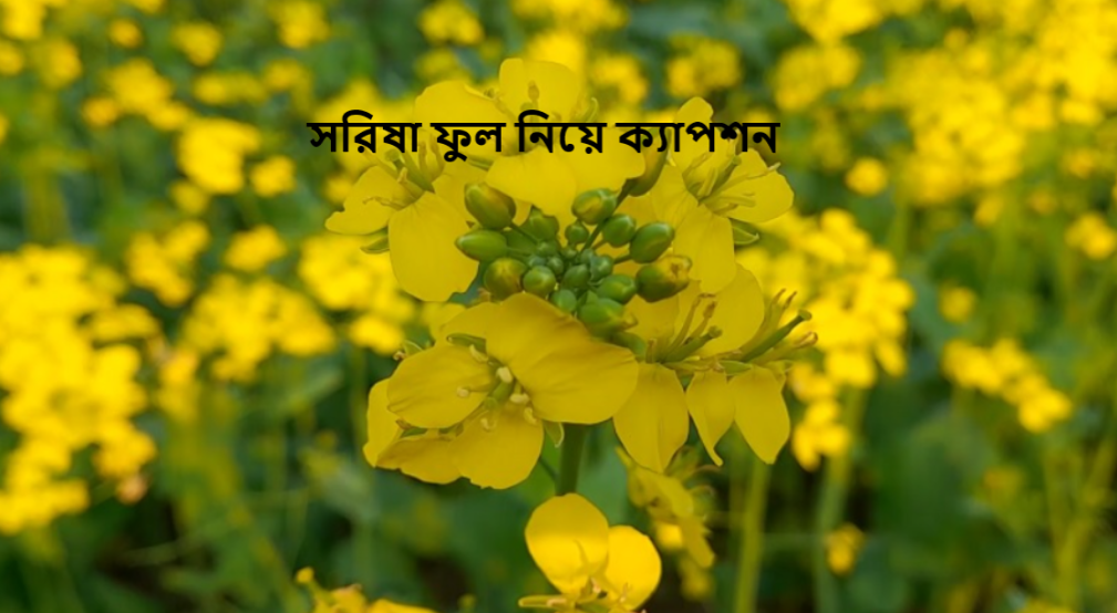 সরিষা ফুল নিয়ে ক্যাপশন