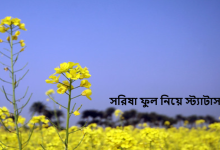 সরিষা ফুল নিয়ে স্ট্যাটাস