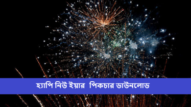 হ্যাপি নিউ ইয়ার 2025 পিকচার ডাউনলোড