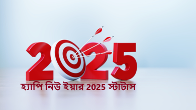 হ্যাপি নিউ ইয়ার 2025 স্টাটাস