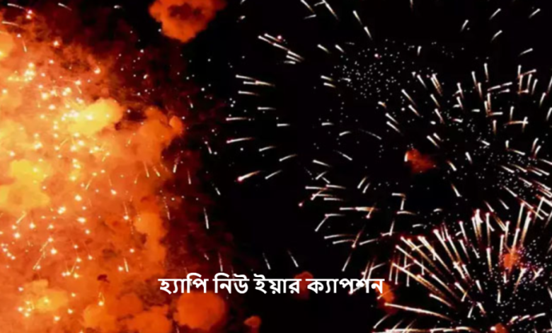 হ্যাপি নিউ ইয়ার ক্যাপশন