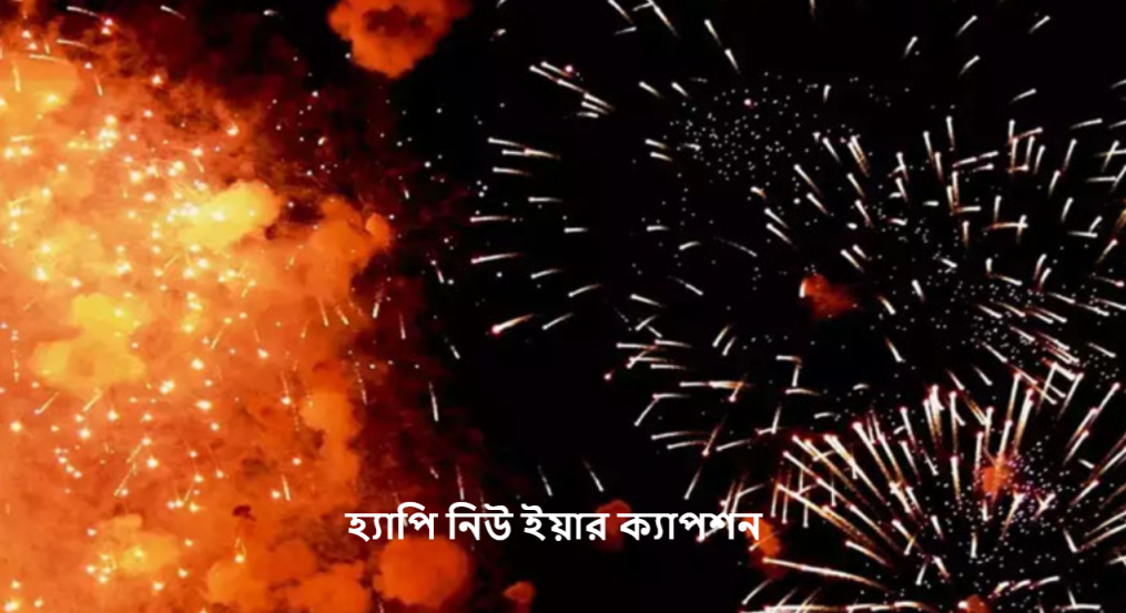 হ্যাপি নিউ ইয়ার ক্যাপশন