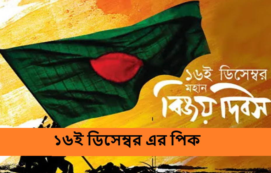১৬ই ডিসেম্বর এর পিক