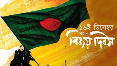 ১৬ই ডিসেম্বর নিয়ে স্ট্যাটাস