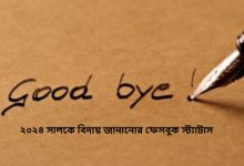 ২০২৪ সালকে বিদায় জানানোর ফেসবুক স্ট্যাটাস