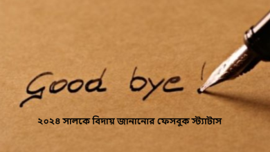 ২০২৪ সালকে বিদায় জানানোর ফেসবুক স্ট্যাটাস