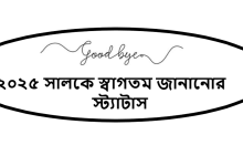 ২০২৫ সালকে স্বাগতম জানানোর স্ট্যাটাস
