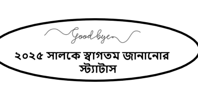 ২০২৫ সালকে স্বাগতম জানানোর স্ট্যাটাস