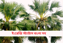 ইংরেজি স্ট্যাটাস বাংলা সহ