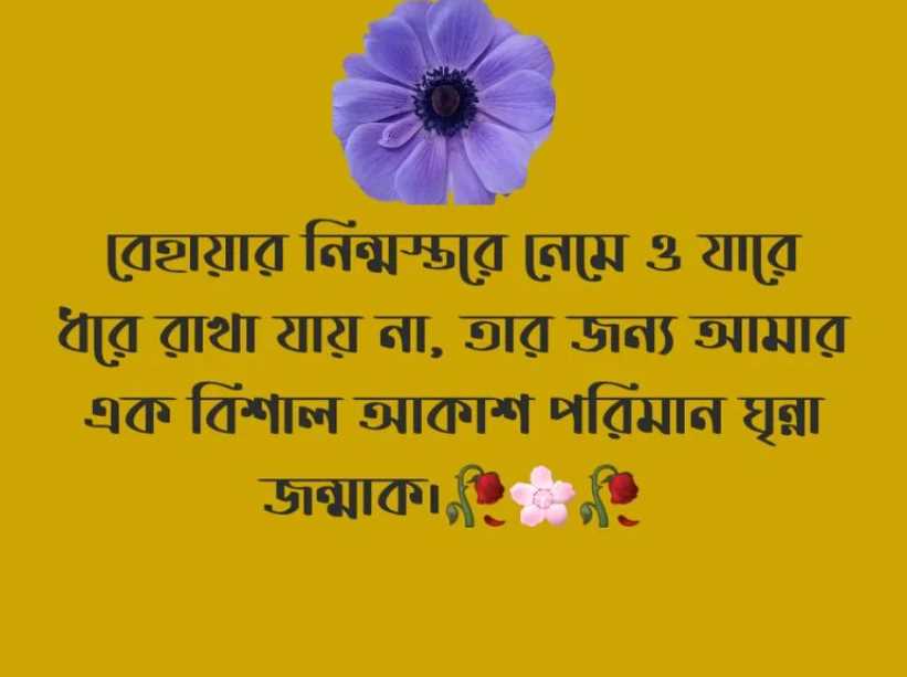 কষ্টের স্ট্যাটাস পিকচার