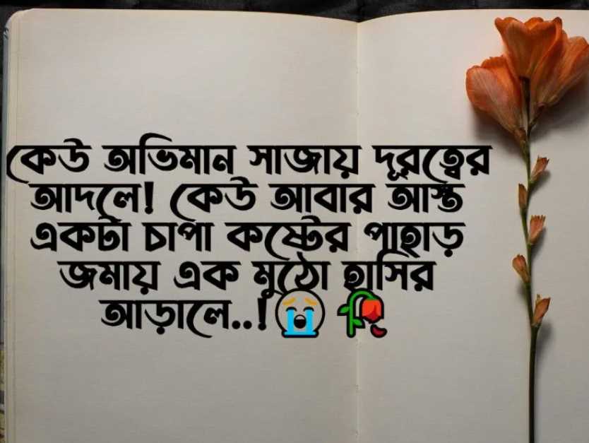 কষ্টের স্ট্যাটাস পিকচার