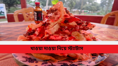 খাওয়া দাওয়া নিয়ে স্ট্যাটাস