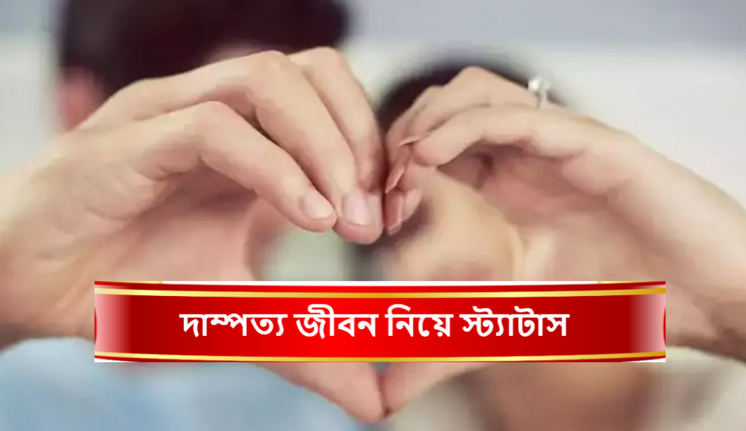 দাম্পত্য জীবন নিয়ে স্ট্যাটাস