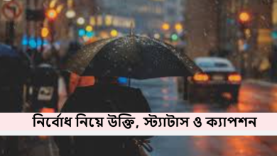 নির্বোধ নিয়ে উক্তি, স্ট্যাটাস ও ক্যাপশন