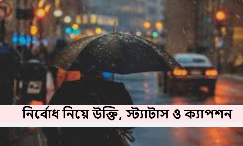 নির্বোধ নিয়ে উক্তি, স্ট্যাটাস ও ক্যাপশন