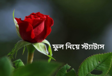 ফুল নিয়ে স্ট্যাটাস