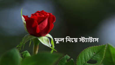 ফুল নিয়ে স্ট্যাটাস