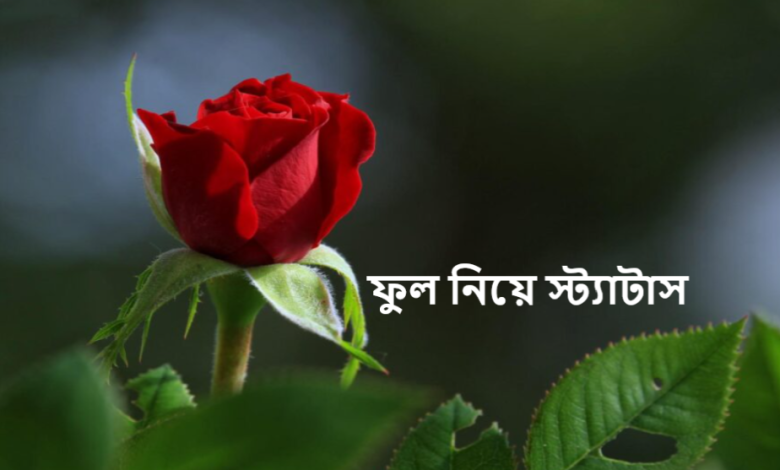 ফুল নিয়ে স্ট্যাটাস