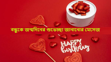 বন্ধুকে জন্মদিনের শুভেচ্ছা জানানোর মেসেজ