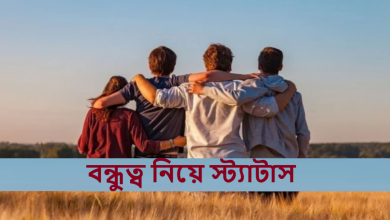 বন্ধুত্ব নিয়ে স্ট্যাটাস