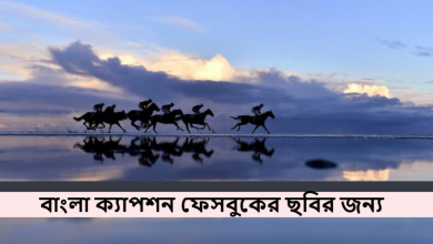বাংলা ক্যাপশন ফেসবুকের ছবির জন্য
