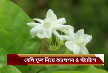 বেলি ফুল নিয়ে ক্যাপশন