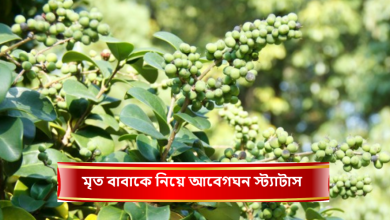মৃত বাবাকে নিয়ে আবেগঘন স্ট্যাটাস