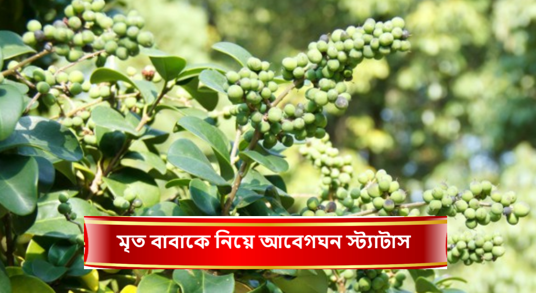মৃত বাবাকে নিয়ে আবেগঘন স্ট্যাটাস
