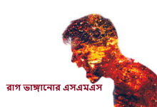 রাগ ভাঙ্গানোর এসএমএস