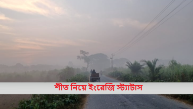 শীত নিয়ে ইংরেজি স্ট্যাটাস