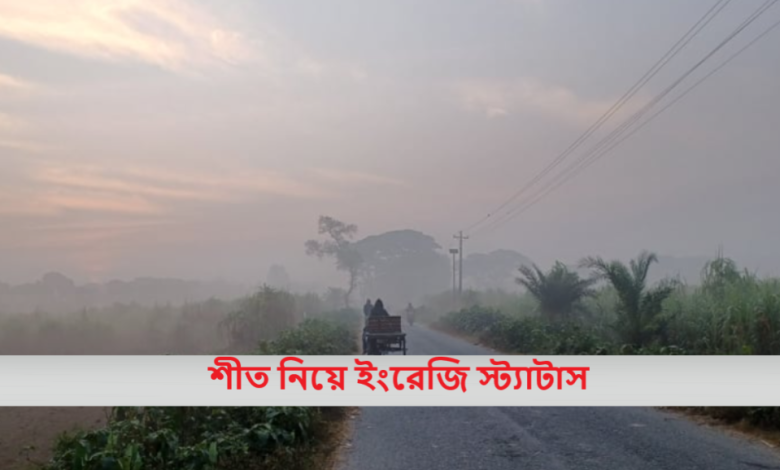 শীত নিয়ে ইংরেজি স্ট্যাটাস