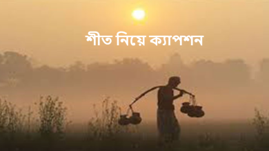 শীত নিয়ে ক্যাপশন ২০২৫