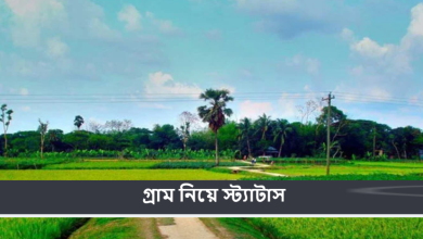গ্রাম নিয়ে স্ট্যাটাস
