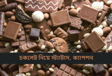 চকলেট নিয়ে স্ট্যাটাস
