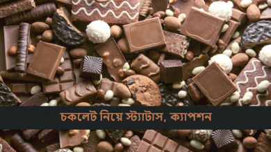 চকলেট নিয়ে স্ট্যাটাস