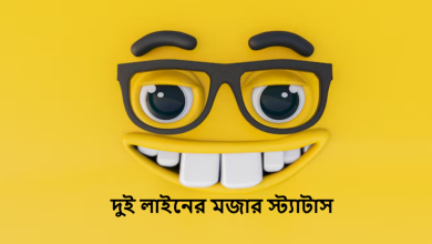 দুই লাইনের মজার স্ট্যাটাস