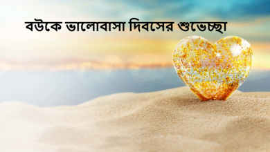বউকে ভালোবাসা দিবসের শুভেচ্ছা