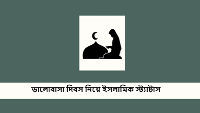 ভালোবাসা দিবস নিয়ে ইসলামিক স্ট্যাটাস