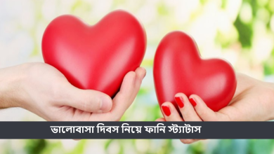 ভালোবাসা দিবস নিয়ে ফানি স্ট্যাটাস