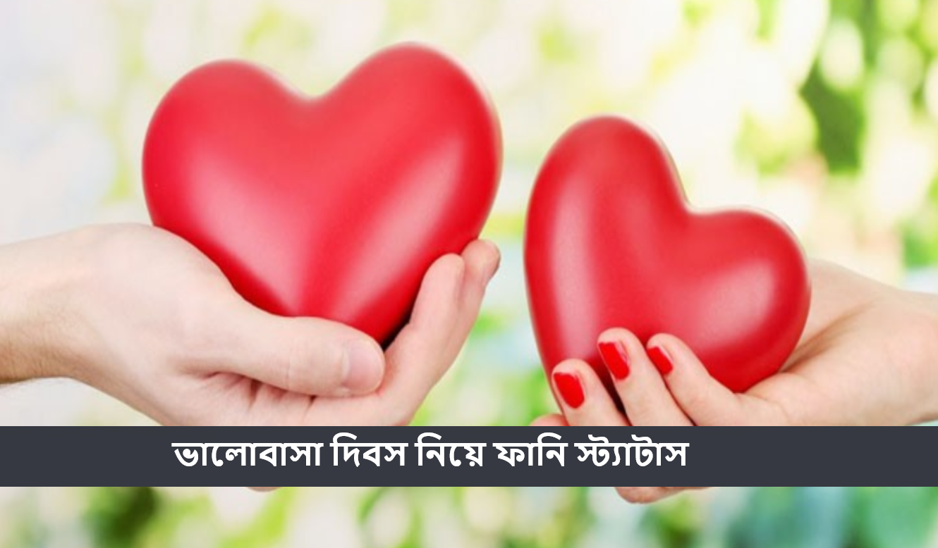 ভালোবাসা দিবস নিয়ে ফানি স্ট্যাটাস