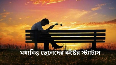 মধ্যবিত্ত ছেলেদের কষ্টের স্ট্যাটাস
